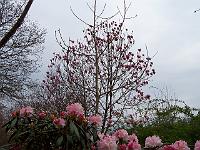 29-04-05kodak_002