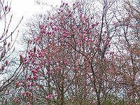 29-04-05kodak_011