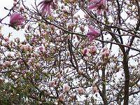 29-04-05kodak_026