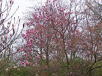 30-04-05kodak_062