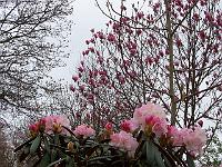 30-04-05kodak_064
