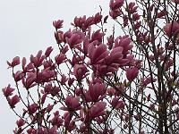 30-04-05kodak_078