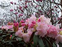 30-04-05kodak_086