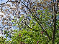 27-05-05kodak_139