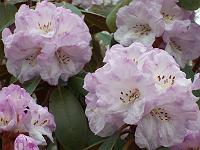30-04-05kodak_067