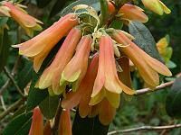 13-05-2006_15-09-35_49