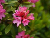 2012-06-07_14-18-30_0018
