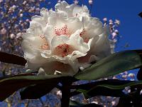 24-04-05kodak_275