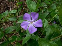 11-05-2007_18-06-28_32
