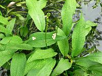 06-09-2006_15-00-14_08