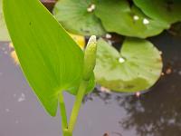05-07-05kodak_294